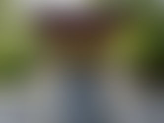 Against the Quick Path: Why Internal Cultivation Requires Time, Effort, and Depth