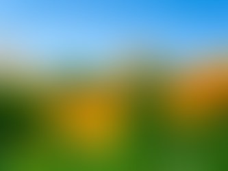 ๐ฟ Plant Profile - California Poppy (Eschscholzia californica)
