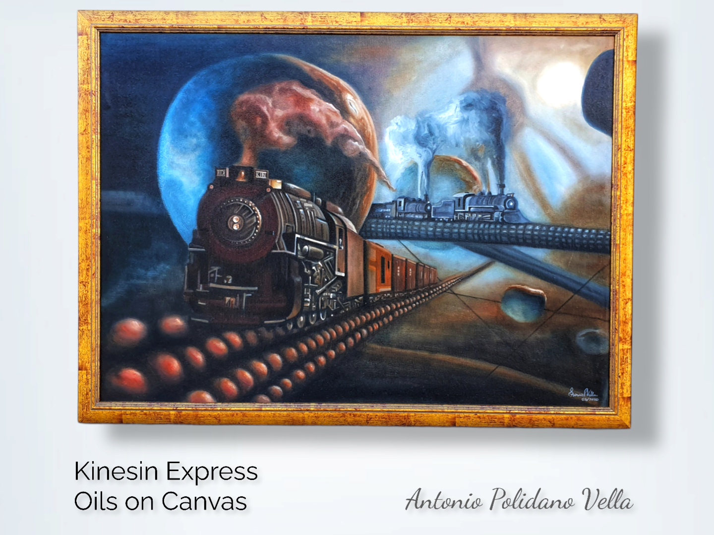 Kinesin Express | Train in neuron axon