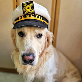 Bailey Profile Sailor Hat.jpg