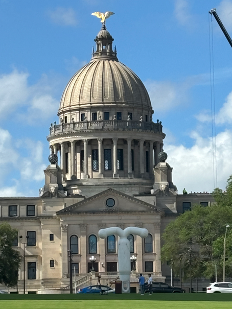 Protecting Freedom, Health, and the Right to Decide: Why Access to Contraception Matters in Mississippi