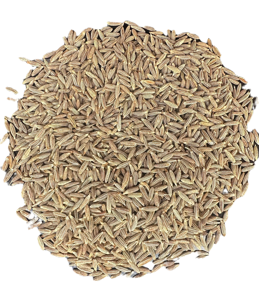 Cumin dish_edited.png