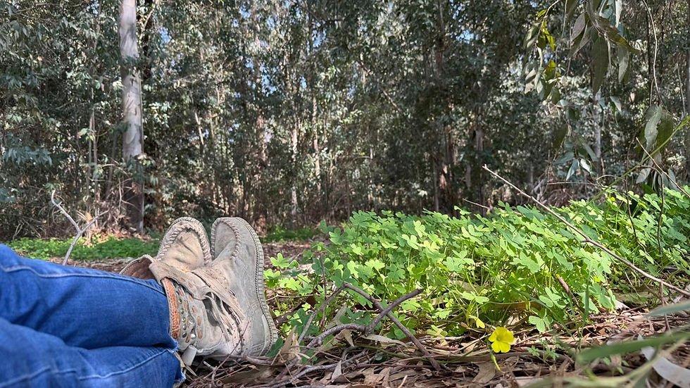 כוחה של תפילה בתהליכי ריפוי רגשי ואימון אישי