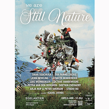 still nature.jpg
