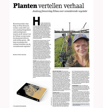 page-6.jpg