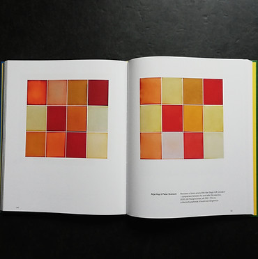 vincent book.jpg