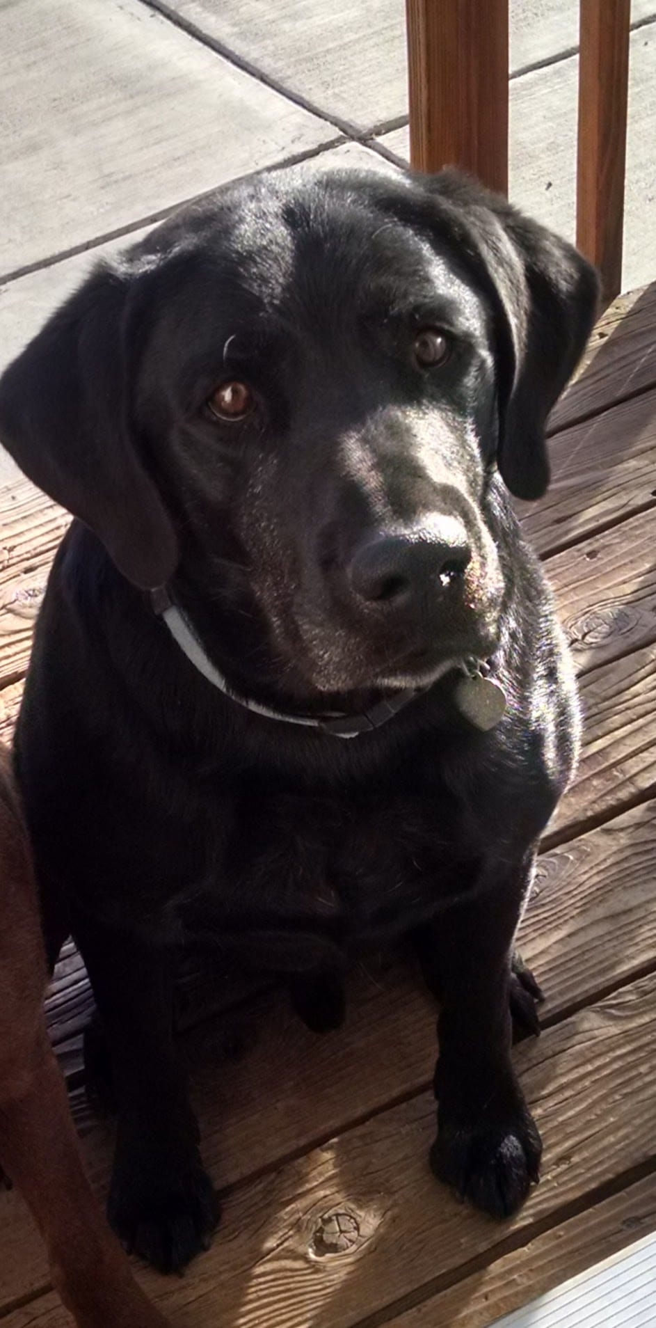 Toby T-Bird and Leila Kristine