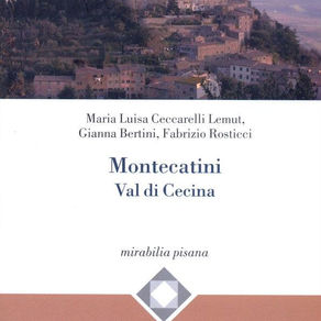 Montecatini Val di Cecina - Edizioni ETS, 2010