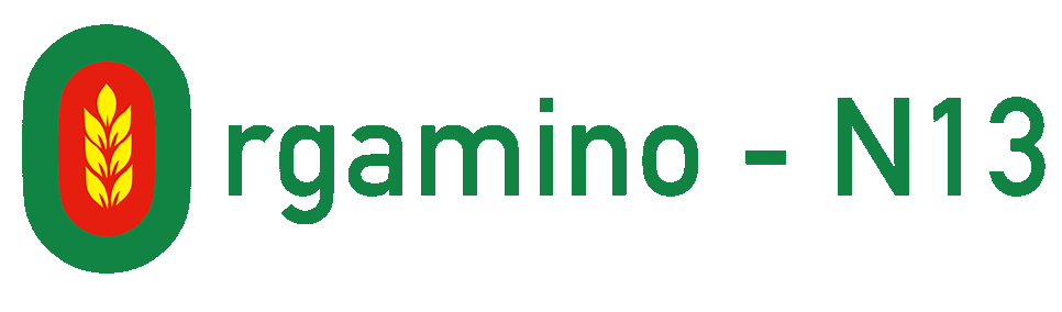 orgamino_logo_2.gif