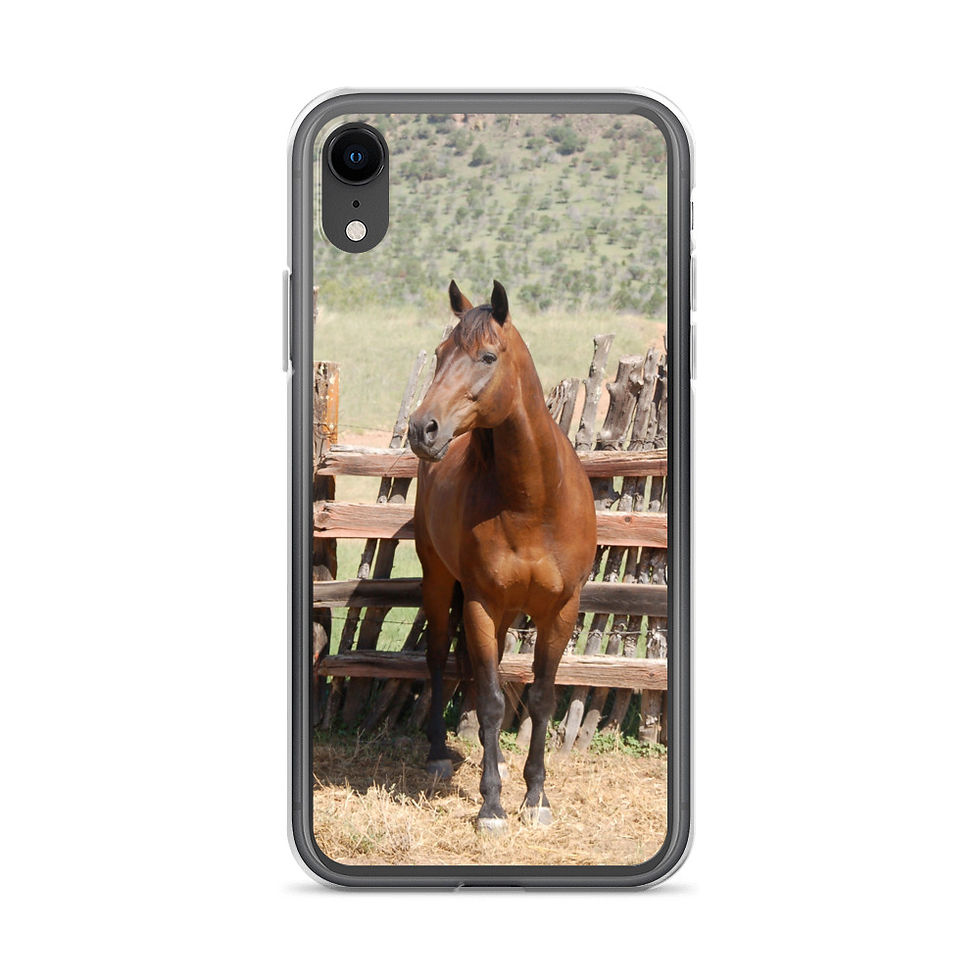 Thumbnail: Rafter iPhone Case