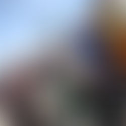 6/29【波左間】ダイビングLOG