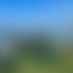 6/29【平沢】ダイビングLOG