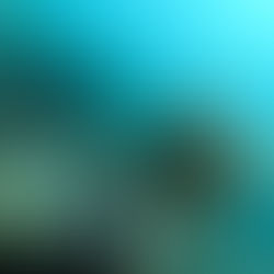 11/2【富戸】ダイビングLOG