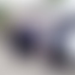 5/12【江之浦】ダイビングLOG