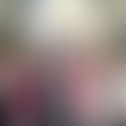 1/6～8【和歌山】ダイビングLOG