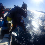 12/4【熱海】ダイビングLOG