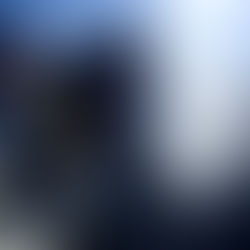 12/4【熱海】ダイビングLOG