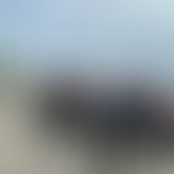 9/15【江之浦】ダイビングLOG