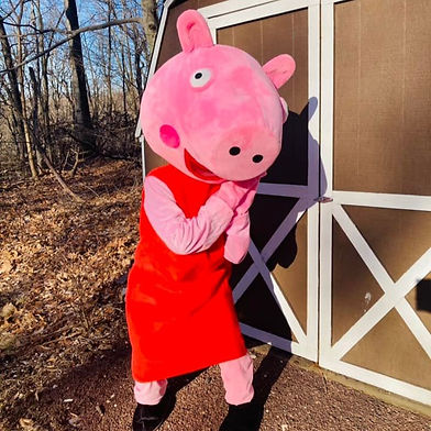 Pig Friend
