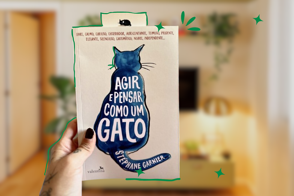gato