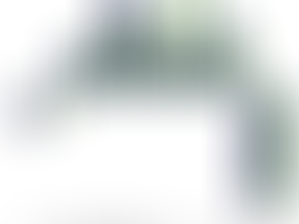 1 week returns for medium-term momentum, short-term momentum, size, value, and volatility within large and small cap universes