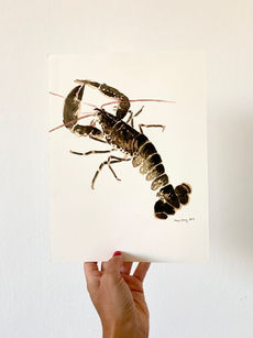 Biology. zoology. watercolour painting. watercolor painting. invertebrates. biodiversity of the sea. save our oceans. ocean plastic. biodiversity. Biology. zoology. Illustrator. biology painting. botanical illustration. Illustratør. jellyfish. jellies. maneter. brennmanet. glassmanet. pastel drawing. pastellkritt. tegner. invertebrates. lobster, kitchen inspiration. home interior. interior design. wallart. fine art print. Home decor. wall art. biology poster.