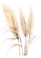 Pampass15.png