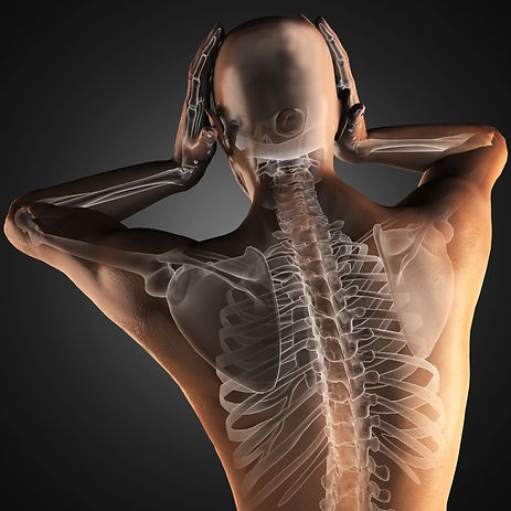 Spine.jpeg