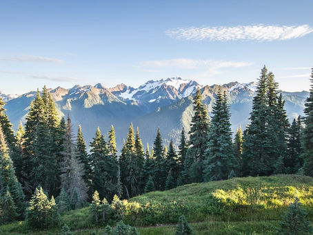 Exploring the Majestic American National Parks: A Journey Through Nature's Masterpieces