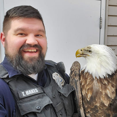 Eagle.jpg
