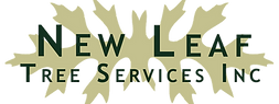Logo_edited.png
