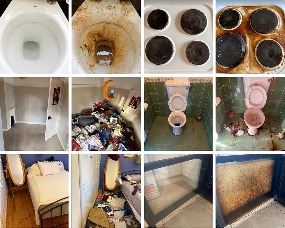 Website Collage JR .png