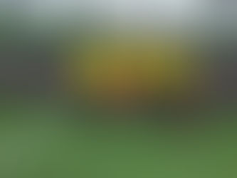 A wonderful achievement by our 5 a side team!