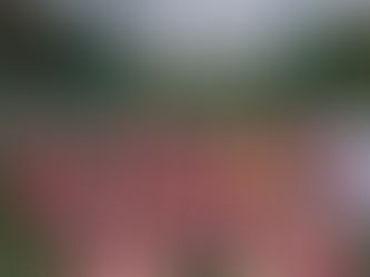 The Brendan Martin Cup meets the future Dublin stars of Sruleen!