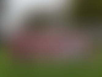 Into the Cup Semi-final!