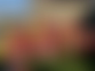 A footballing display to be proud of!