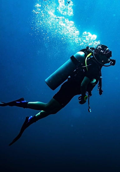IM-1-Destacada-Destino-Buceo-Almar-Viajes-y-Turismo.jpg