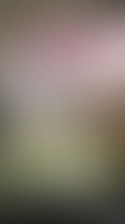 Thank You Art Palm Beach !