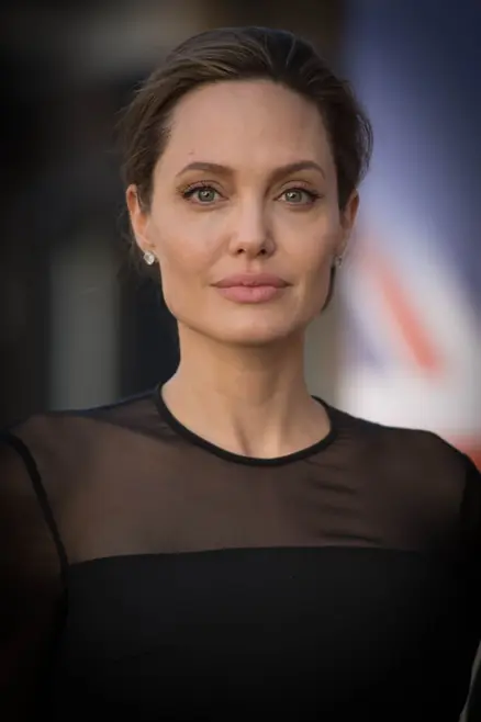 angelina jolie gregoire devin artist sunny film