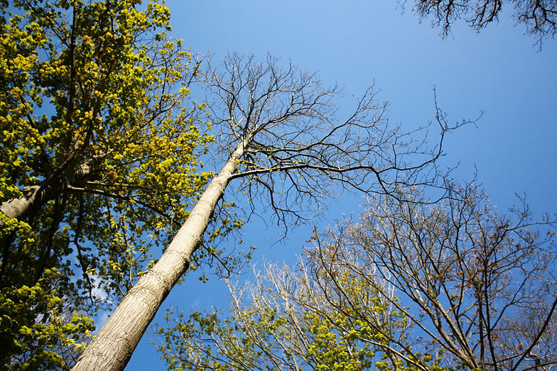 26042022 (172 of 179).jpg