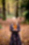 Katie-3.jpg