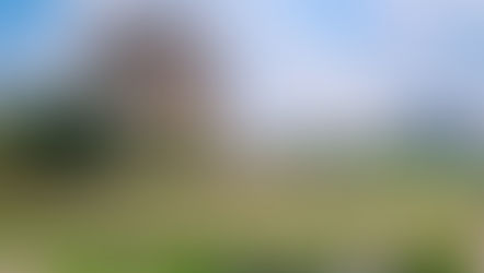 Carreras poco conocidas en la UNAM