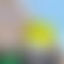 Pobladores de San Pablo de las Salinas con carteles para convertirse en un nuevo municipio en el Edomex