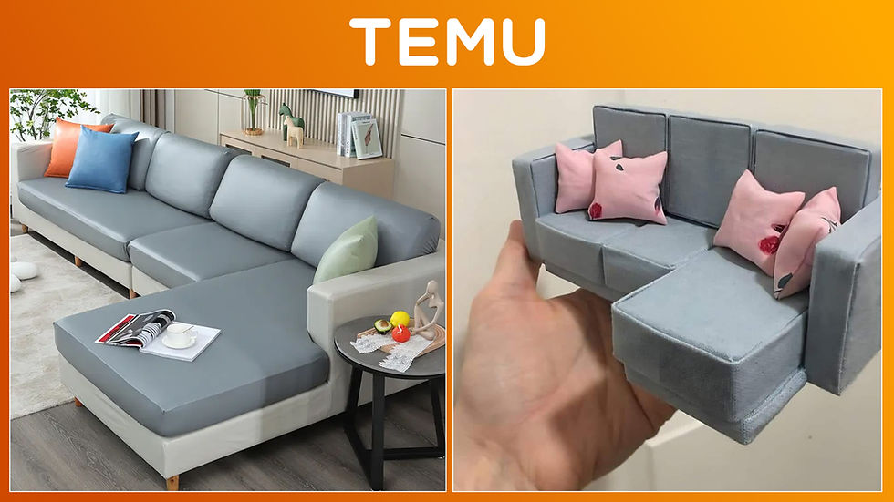 ¿Vas a pedir en Temu? Checa estas recomendaciones para no salir estafado