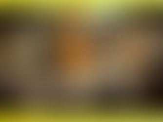 Radiografía del crimen en Baja California