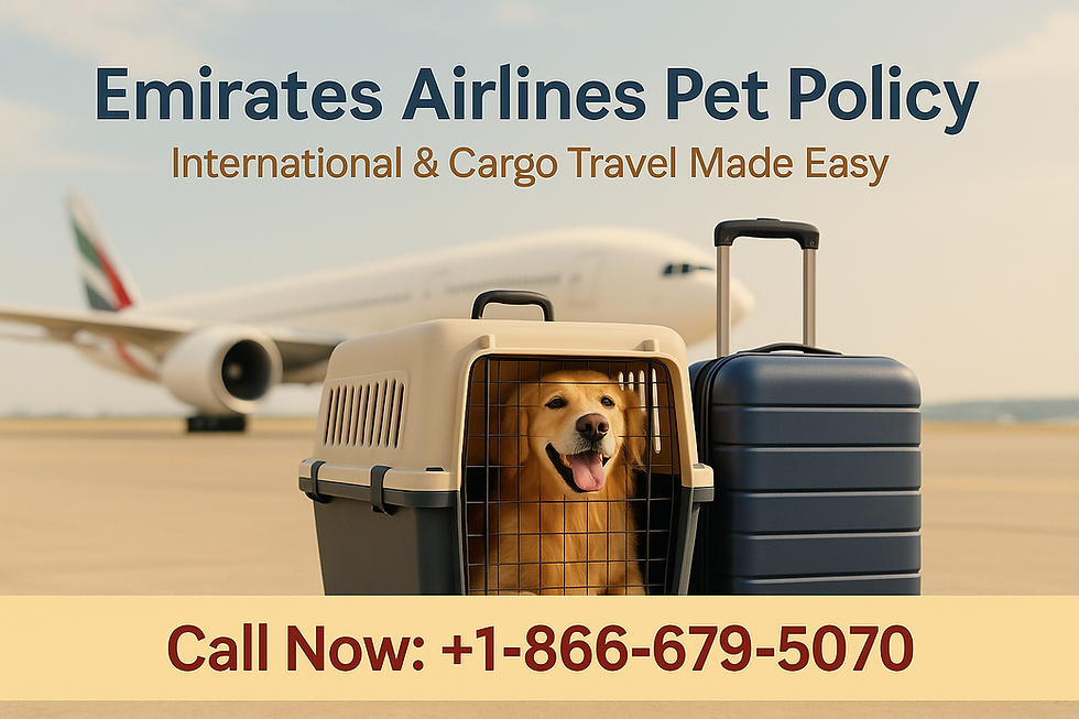 Dog in a carrier beside luggage on airport tarmac. Emirates airplane in background. Text: Emirates Airlines Pet Policy, call number.