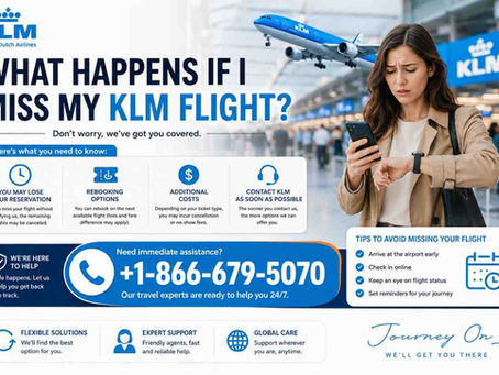 What Happens If I Miss My KLM Flight?