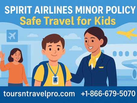What You Need to Know About Spirit Airlines Minor Policy