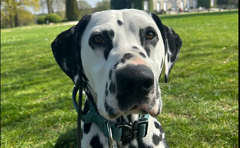 Screenshot 2025-07-11 101448.png