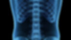 AdobeStock_537026924.jpeg
